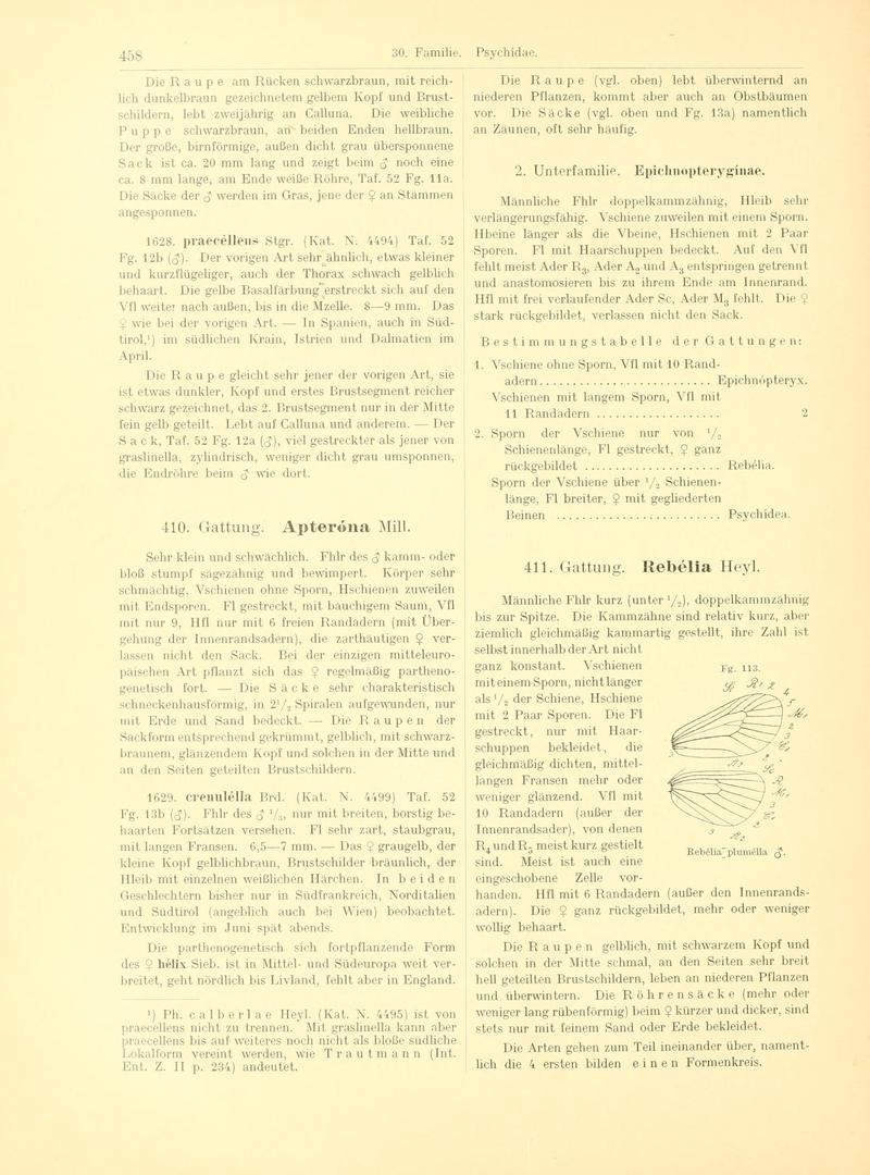 Fr. Berge's Schmetterlingsbuch nach dem gegenwärtigen Stande der Lepidopterologie neu bearb. und hrsg. von Professor Dr. H. Rebel (Page 458, Fg. 113) BHL9446044