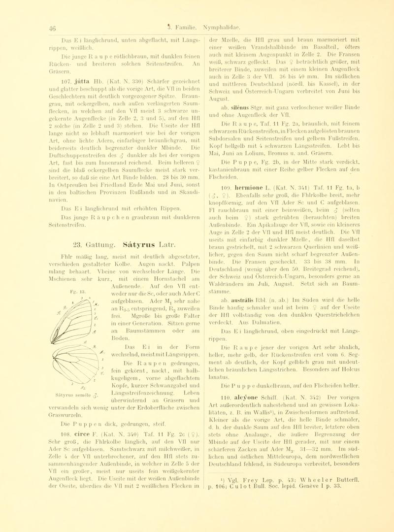 Fr. Berge's Schmetterlingsbuch nach dem gegenwärtigen Stande der Lepidopterologie neu bearb. und hrsg. von Professor Dr. H. Rebel (Page 46, Fg. 13) BHL9445552