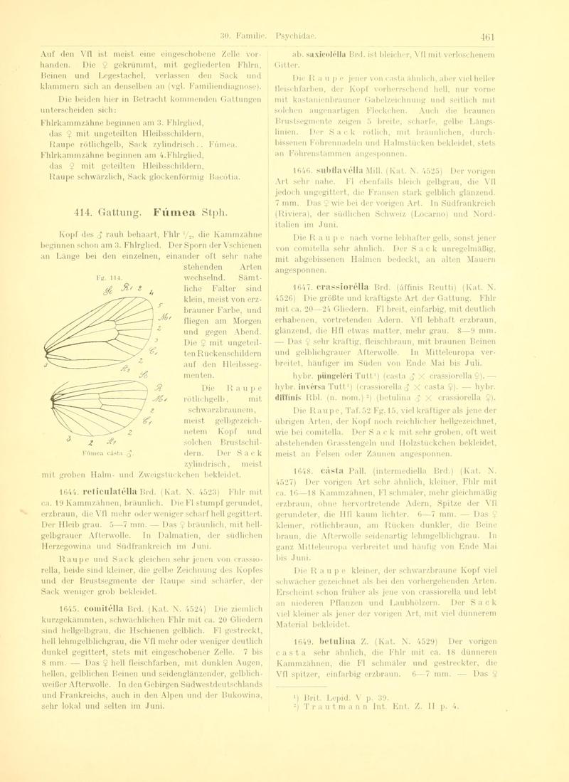 Fr. Berge's Schmetterlingsbuch nach dem gegenwärtigen Stande der Lepidopterologie neu bearb. und hrsg. von Professor Dr. H. Rebel (Page 461, Fg. 114) BHL9446047