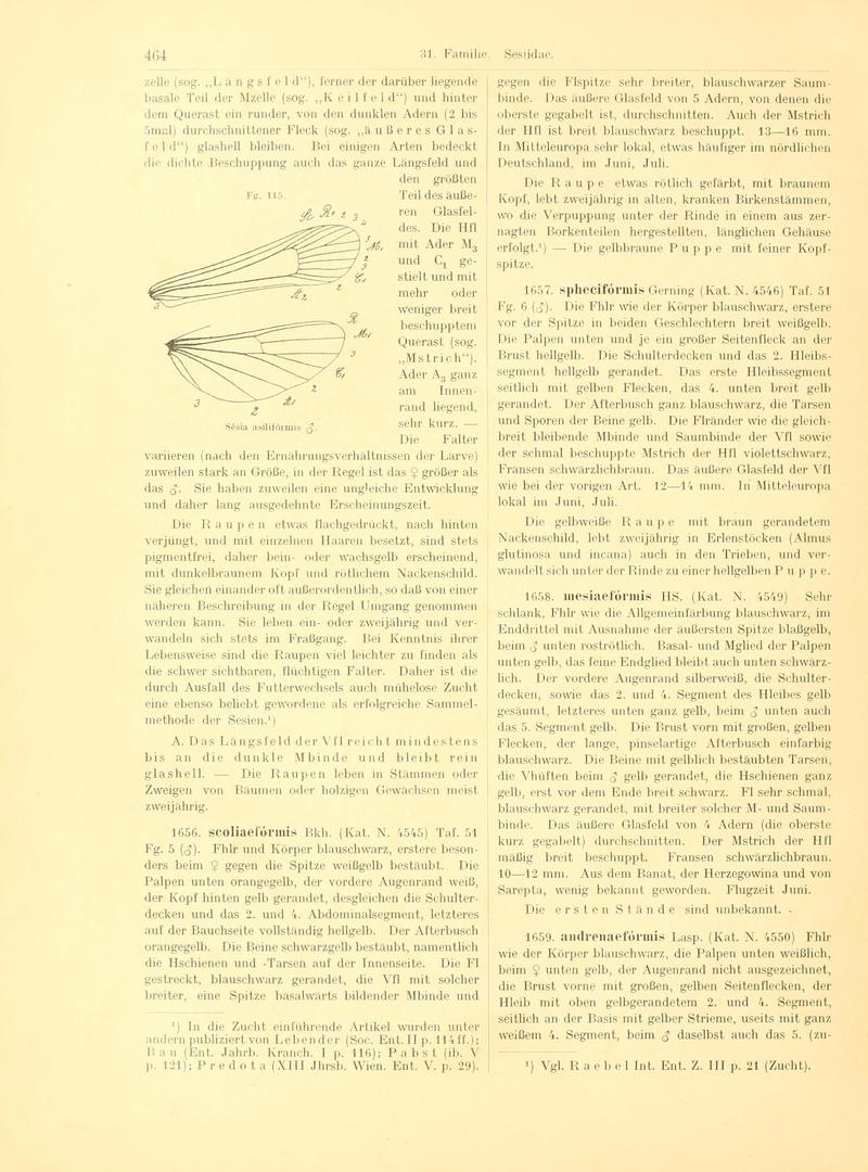 Fr. Berge's Schmetterlingsbuch nach dem gegenwärtigen Stande der Lepidopterologie neu bearb. und hrsg. von Professor Dr. H. Rebel (Page 464, Fg. 115) BHL9446050