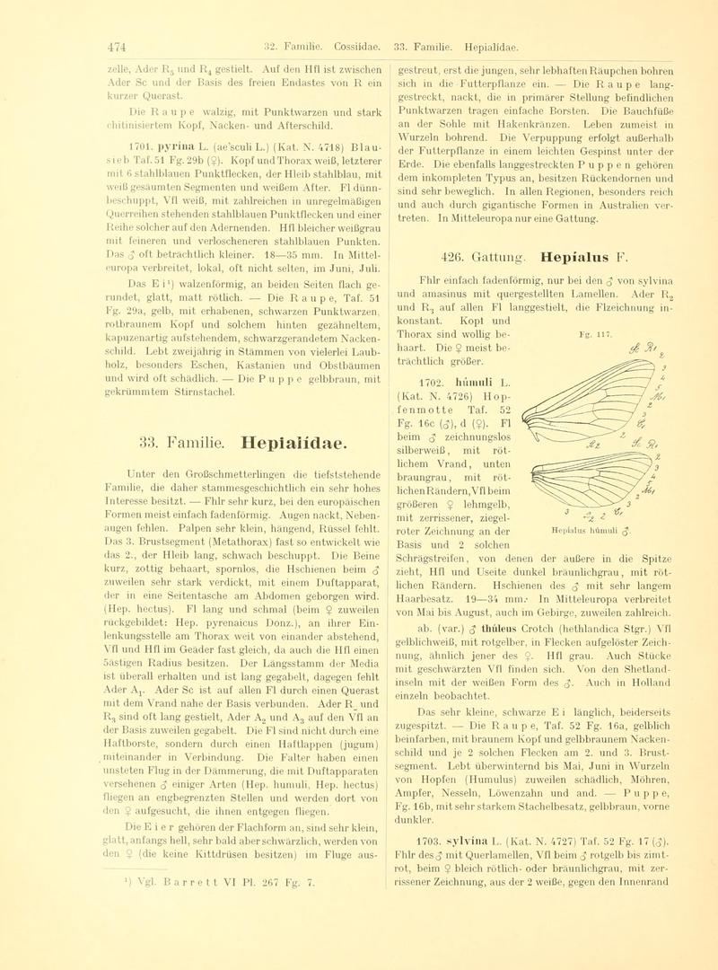 Fr. Berge's Schmetterlingsbuch nach dem gegenwärtigen Stande der Lepidopterologie neu bearb. und hrsg. von Professor Dr. H. Rebel (Page 474, Fg. 117) BHL9446064