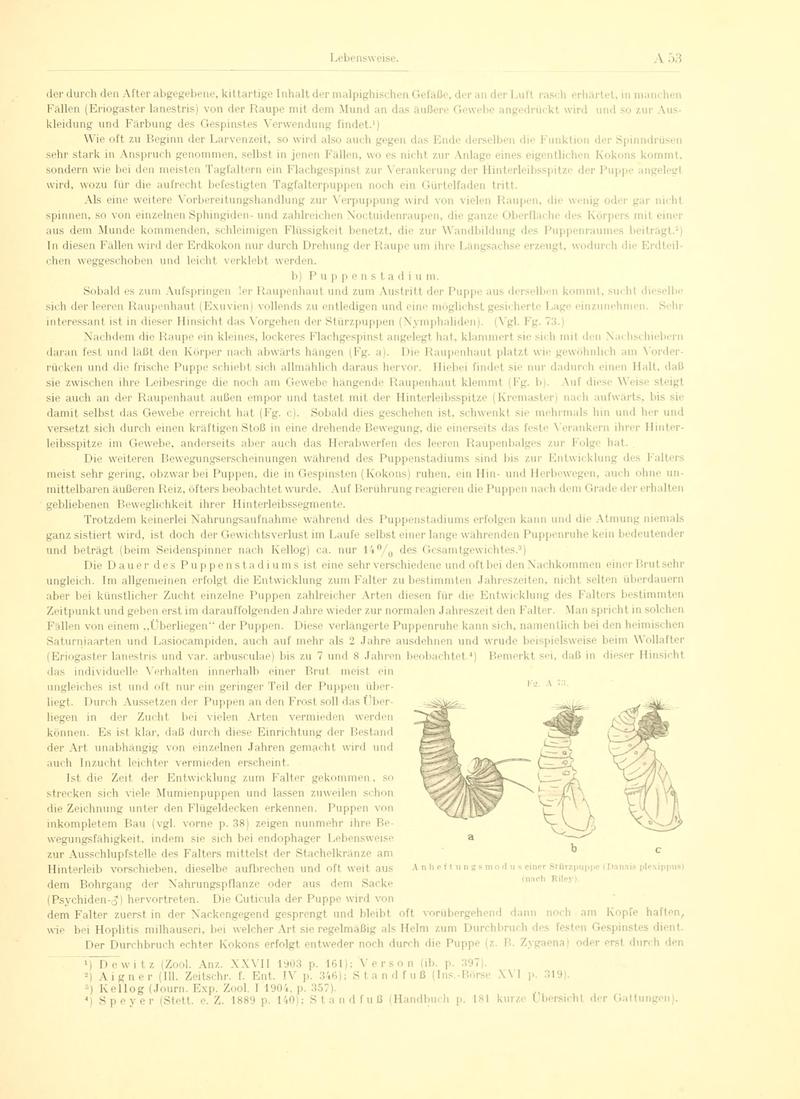 Fr. Berge's Schmetterlingsbuch nach dem gegenwärtigen Stande der Lepidopterologie neu bearb. und hrsg. von Professor Dr. H. Rebel (Page 53, Fg. A73) BHL9445423