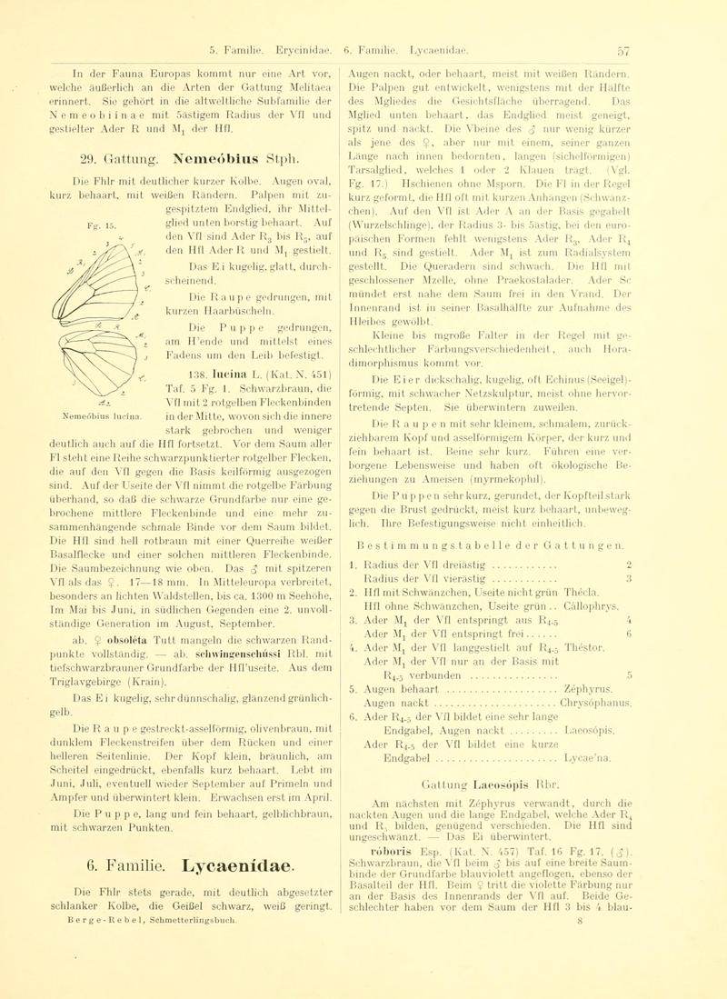Fr. Berge's Schmetterlingsbuch nach dem gegenwärtigen Stande der Lepidopterologie neu bearb. und hrsg. von Professor Dr. H. Rebel (Page 57, Fg. 15) BHL9445567