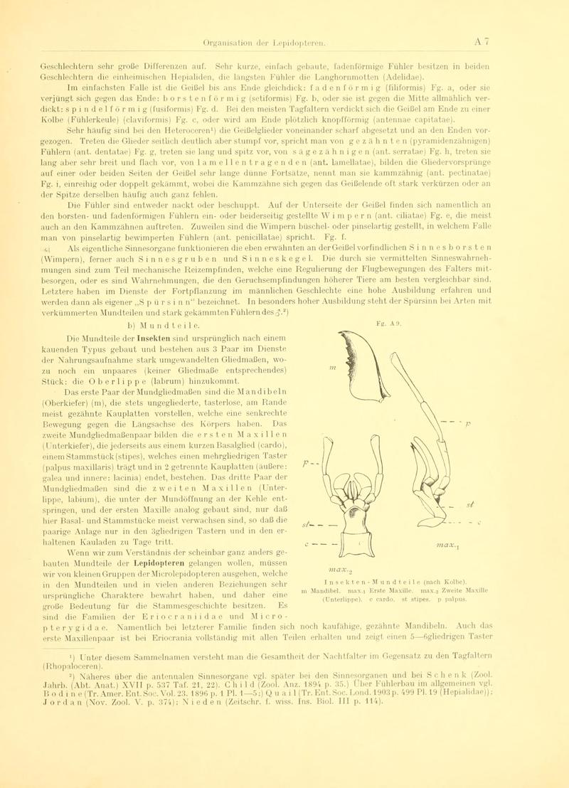Fr. Berge's Schmetterlingsbuch nach dem gegenwärtigen Stande der Lepidopterologie neu bearb. und hrsg. von Professor Dr. H. Rebel (Page 7, Fg. A9) BHL9445400