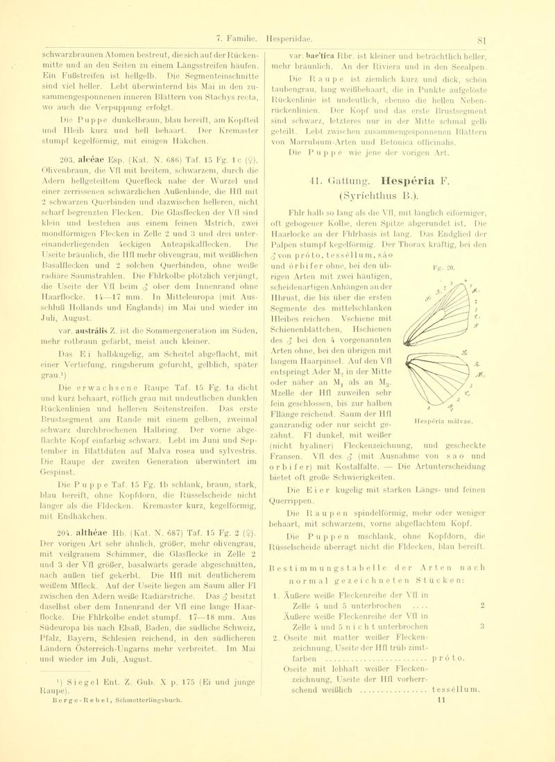 Fr. Berge's Schmetterlingsbuch nach dem gegenwärtigen Stande der Lepidopterologie neu bearb. und hrsg. von Professor Dr. H. Rebel (Page 81, Fg. 20) BHL9445599