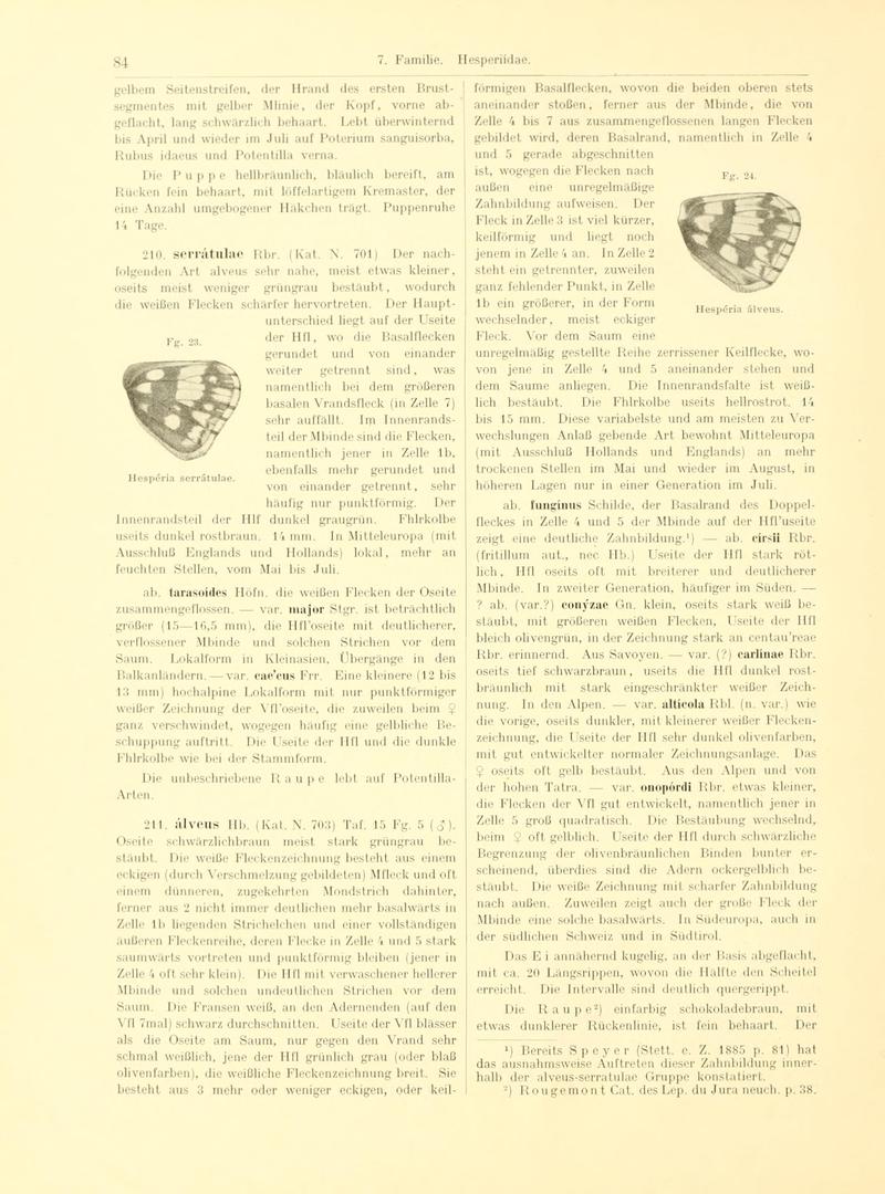 Fr. Berge's Schmetterlingsbuch nach dem gegenwärtigen Stande der Lepidopterologie neu bearb. und hrsg. von Professor Dr. H. Rebel (Page 84, Fg. 23-24) BHL9445602