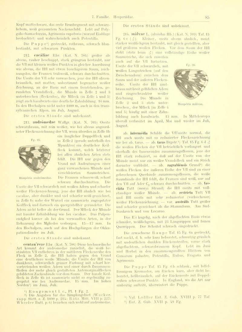 Fr. Berge's Schmetterlingsbuch nach dem gegenwärtigen Stande der Lepidopterologie neu bearb. und hrsg. von Professor Dr. H. Rebel (Page 85, Fg. 25-26) BHL9445603