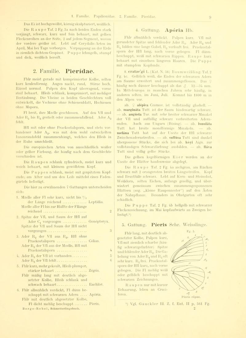 Fr. Berge's Schmetterlingsbuch nach dem gegenwärtigen Stande der Lepidopterologie neu bearb. und hrsg. von Professor Dr. H. Rebel (Page 9, Fg. 5) BHL9445499