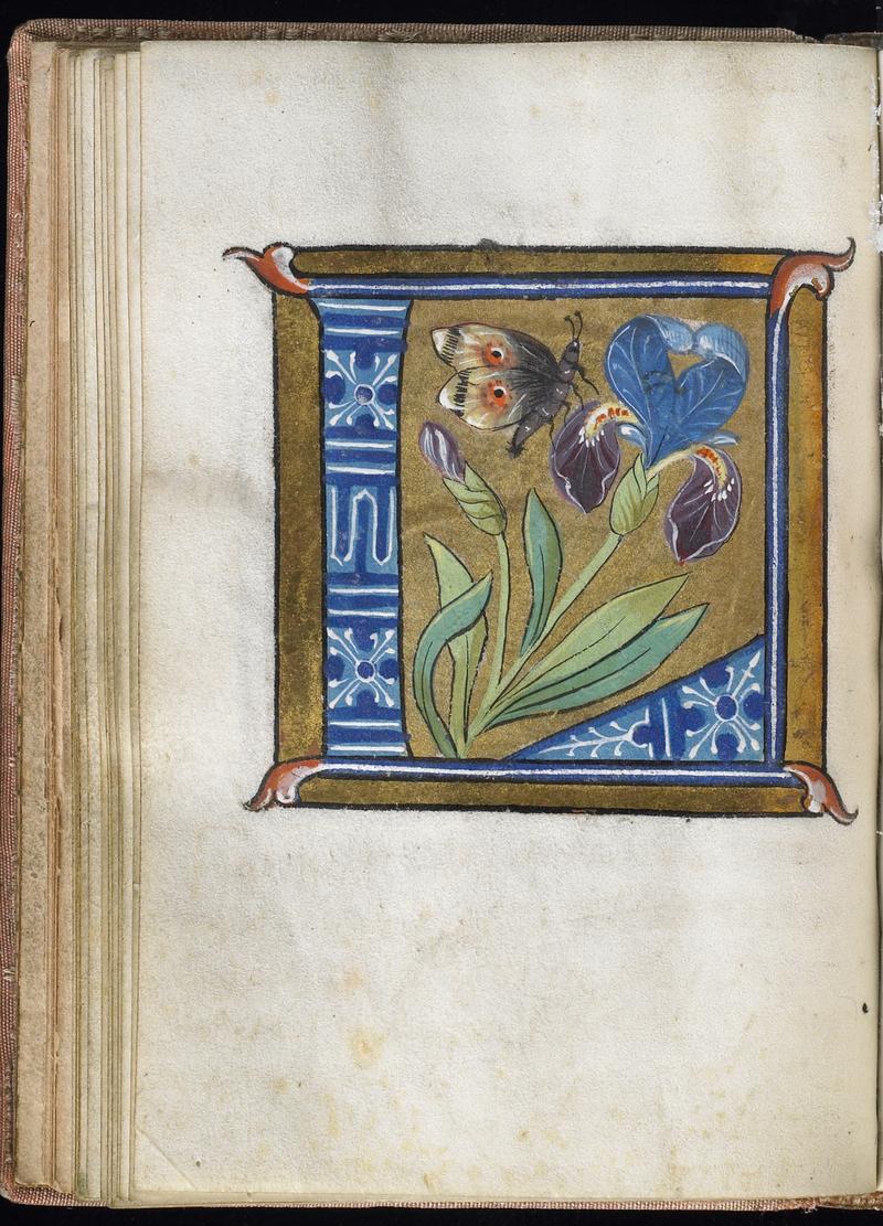 Leaf from Alphabet Book