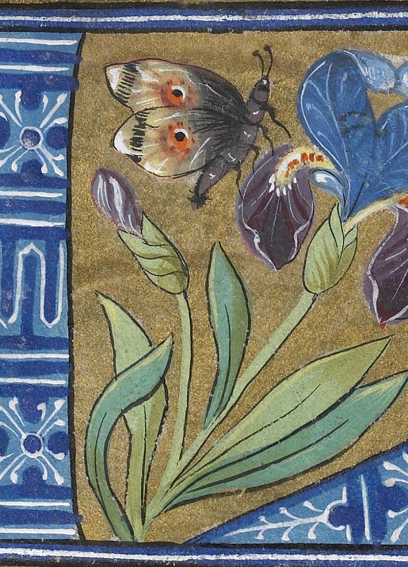 Leaf from Alphabet Book