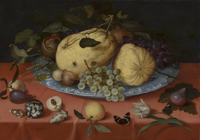 Fruit Still Life with Shells and Tulip label QS:Len,"Fruit Still Life with Shells and Tulip" label QS:Lnl,"Fruitstilleven met schelpen en tulp"