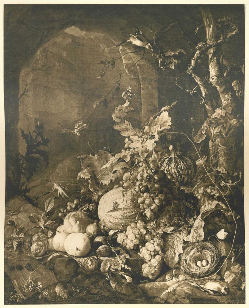 Stillleben mit Vogelnest