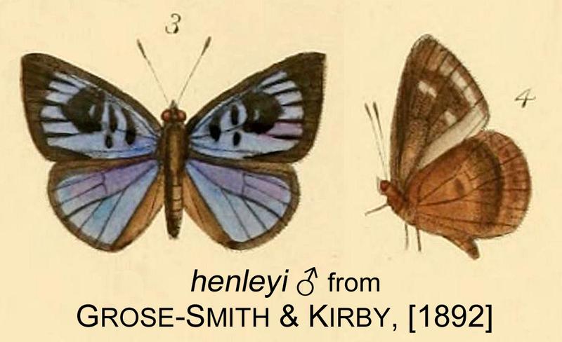 Henleyi inGSK1892