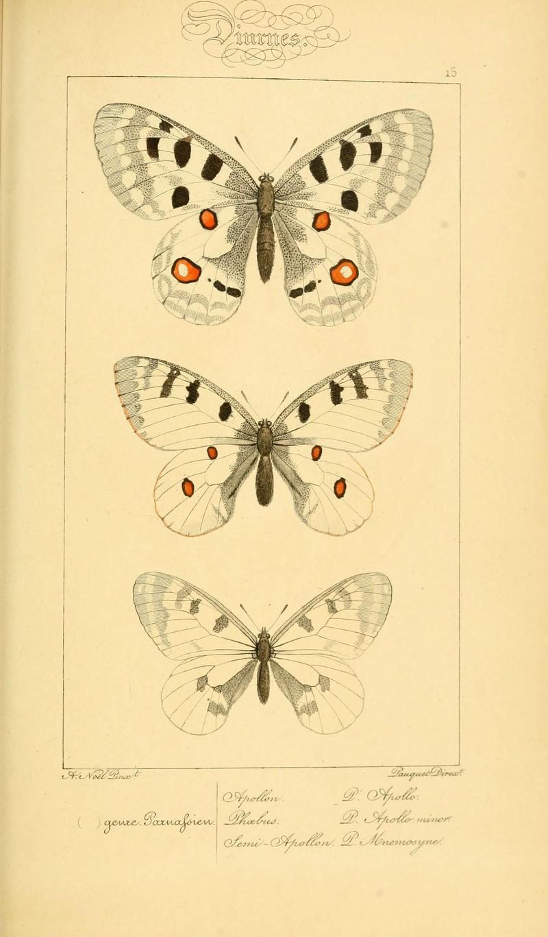 Histoire naturelle des lépidoptères d'Europe (Plate 15) (6053274913)