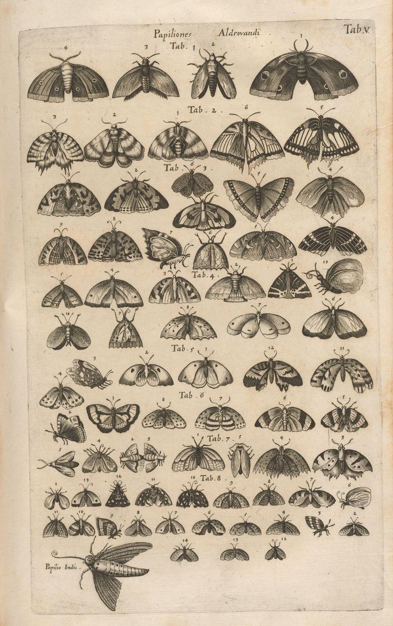 Houghton EC65 J7396 B653h - Historiae naturalis de piscibus et cetis, 1653