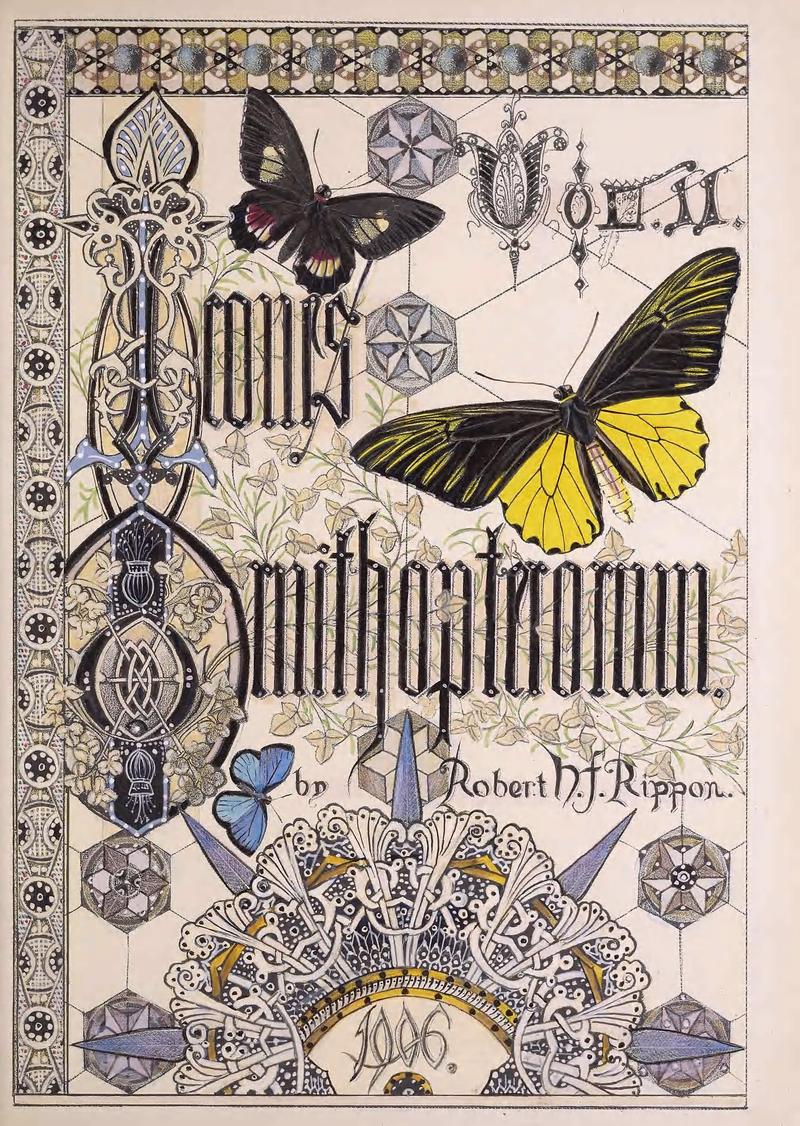Icones ornithopterorum (7704256524)