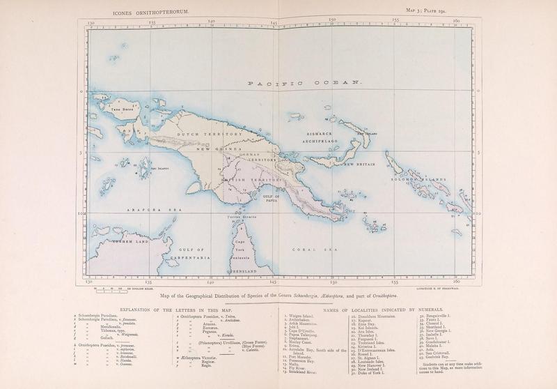 Icones ornithopterorum (MAP 3 - PLATE 19A) (7704055726)