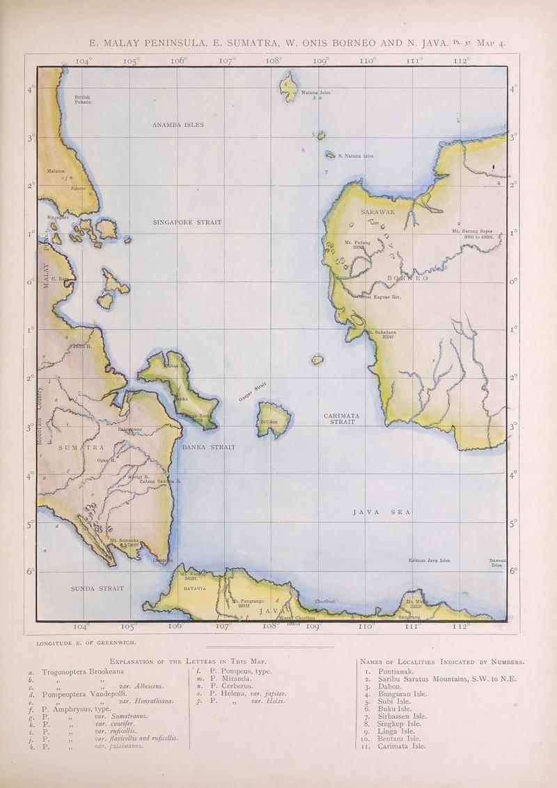 Icones ornithopterorum (MAP 4) (7704266858)
