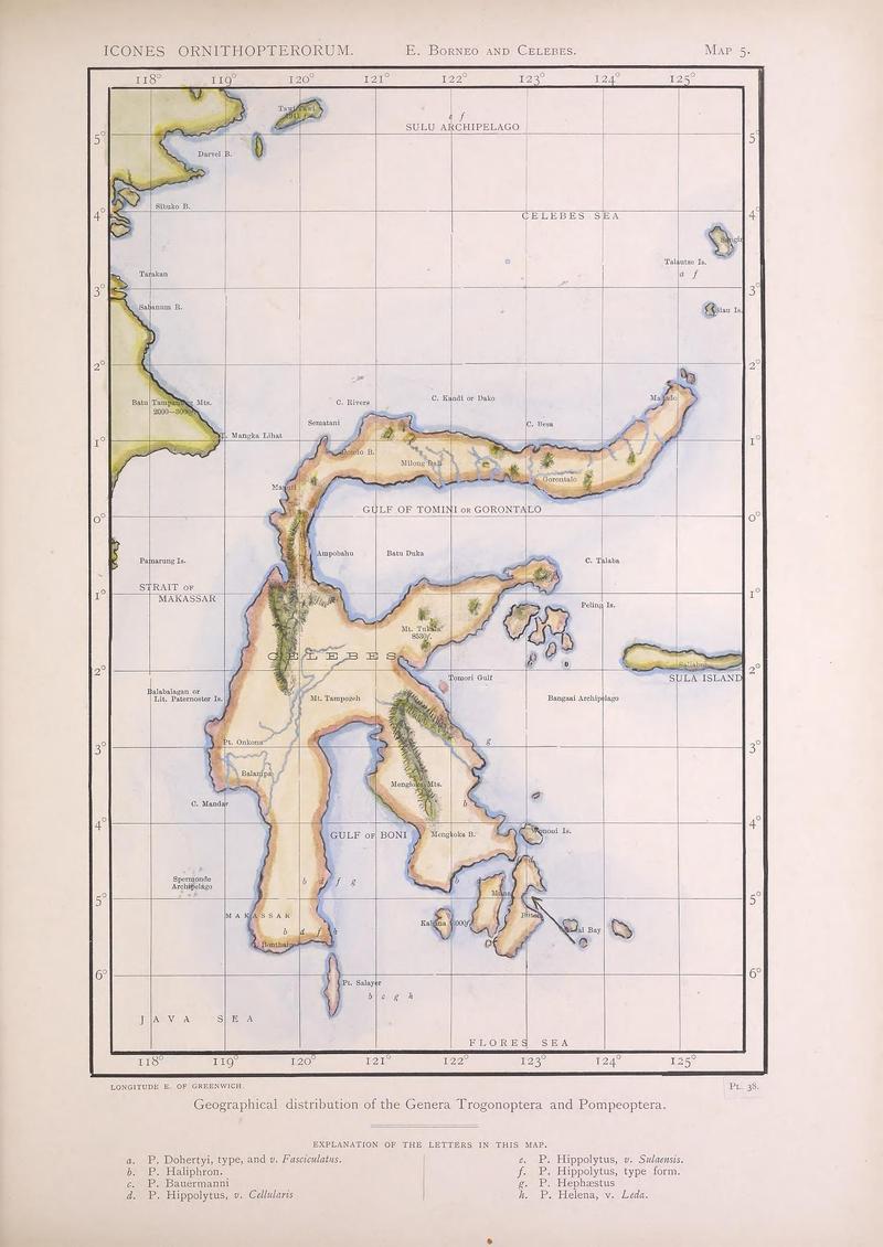 Icones ornithopterorum (MAP 5) (7704267648)