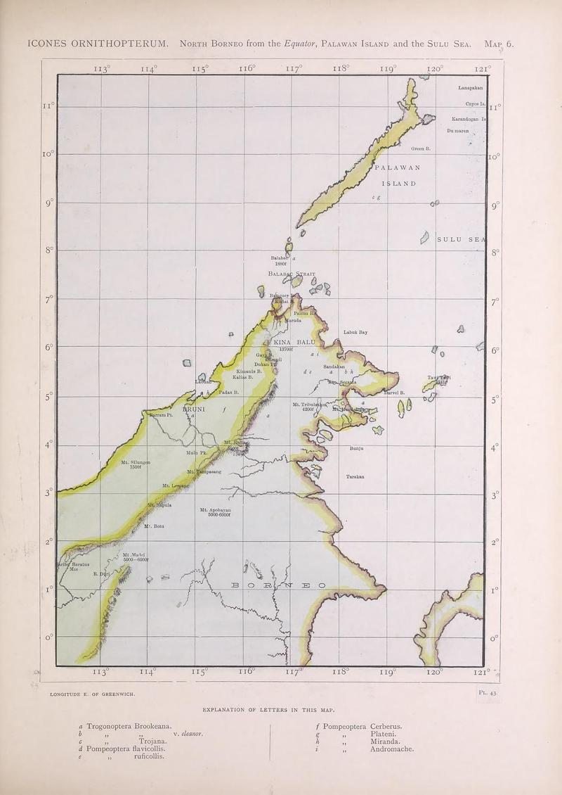 Icones ornithopterorum (MAP 6) (7704271170)