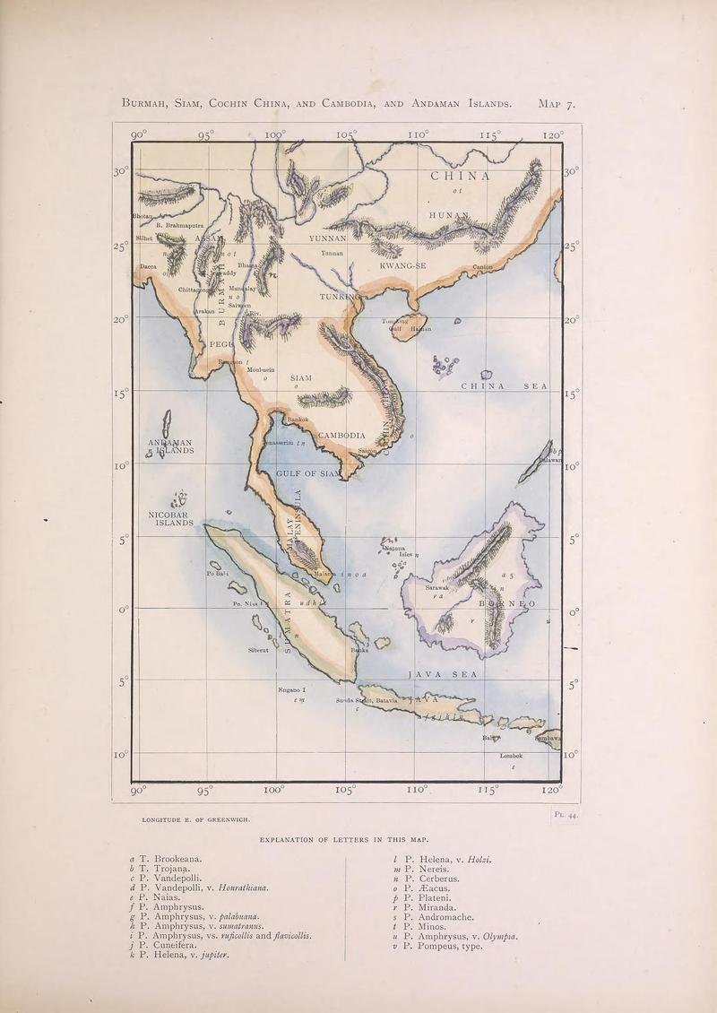 Icones ornithopterorum (MAP 7) (7704271870)