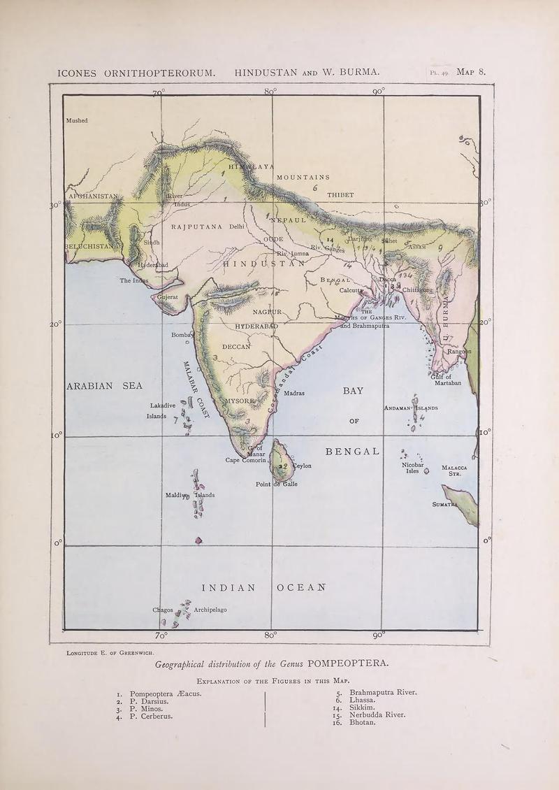 Icones ornithopterorum (MAP 8) (7704275894)