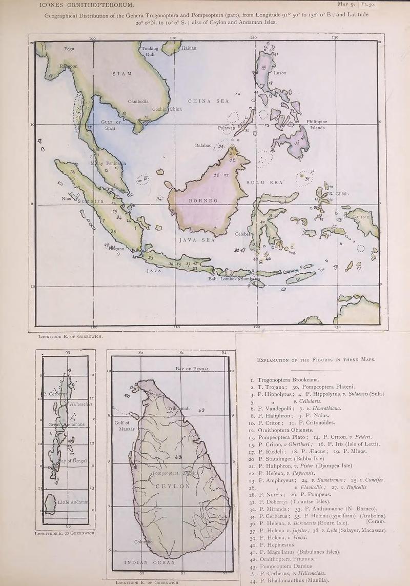 Icones ornithopterorum (MAP 9) (7704276636)