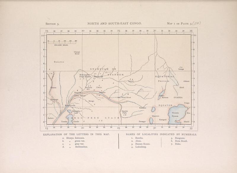 Icones ornithopterorum (MAP I) (7704029162)