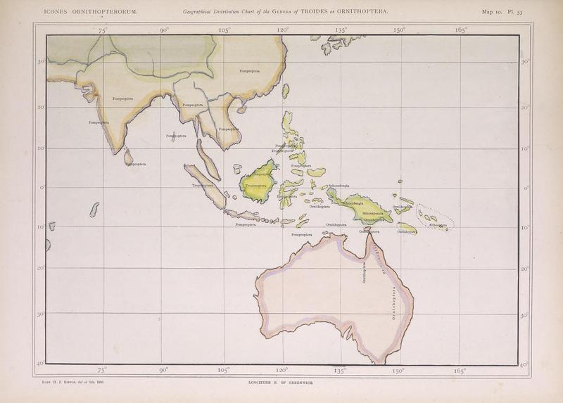 Icones ornithopterorum (Map 10) (7704280352)