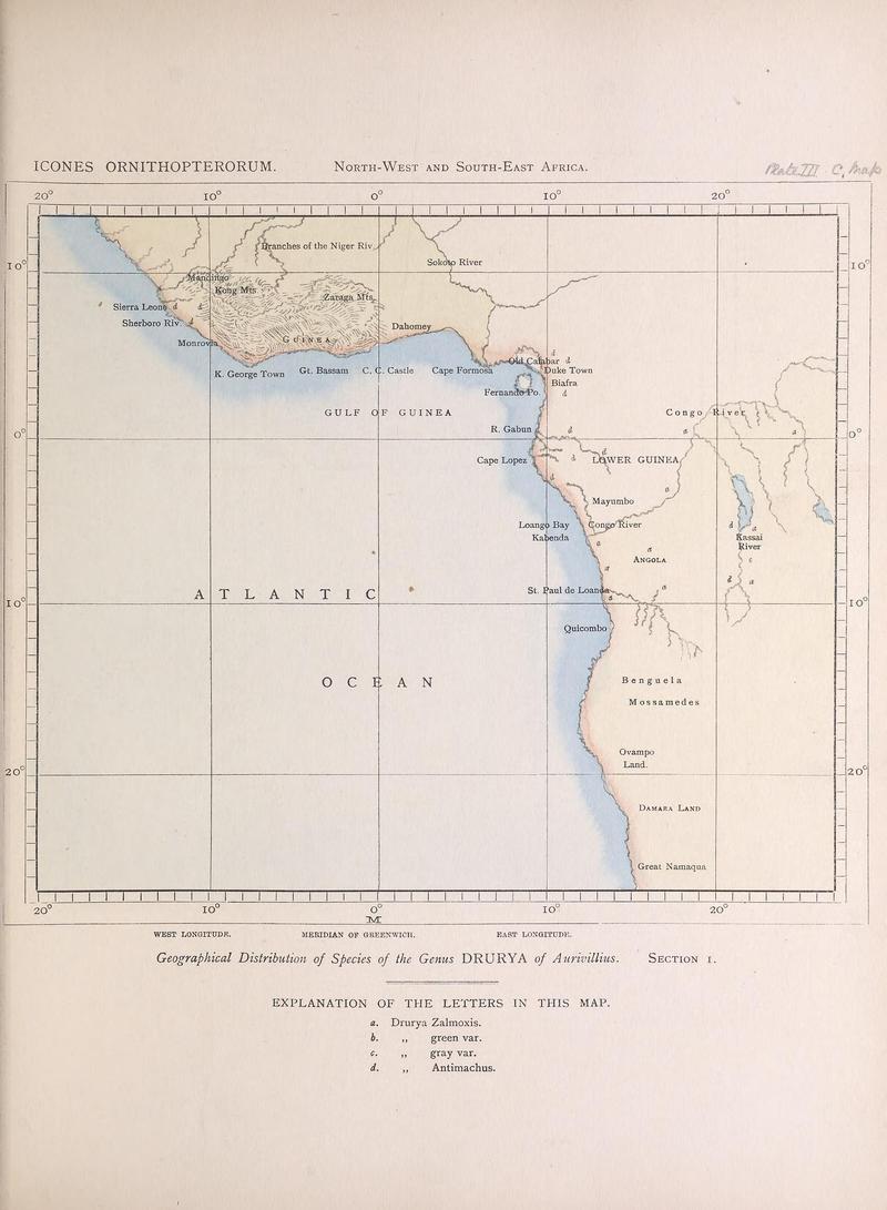 Icones ornithopterorum (Plate III C. map) (7704027828)