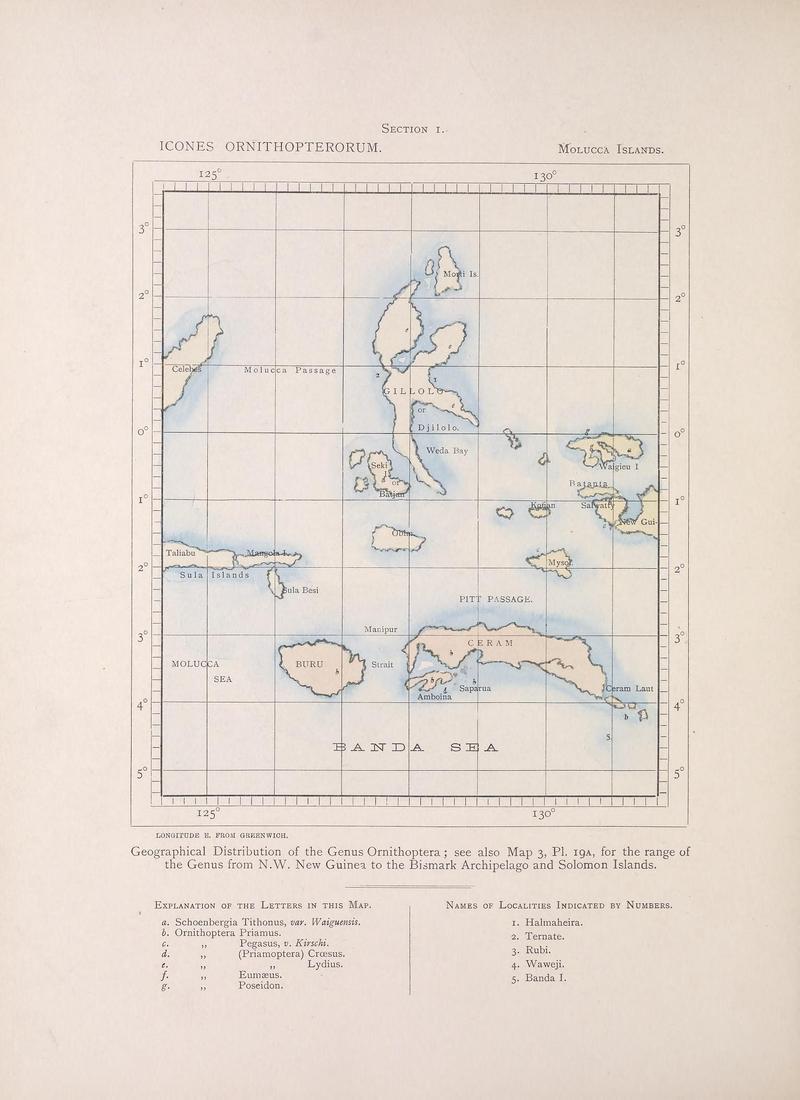 Icones ornithopterorum (SECTION I) (7704039710)