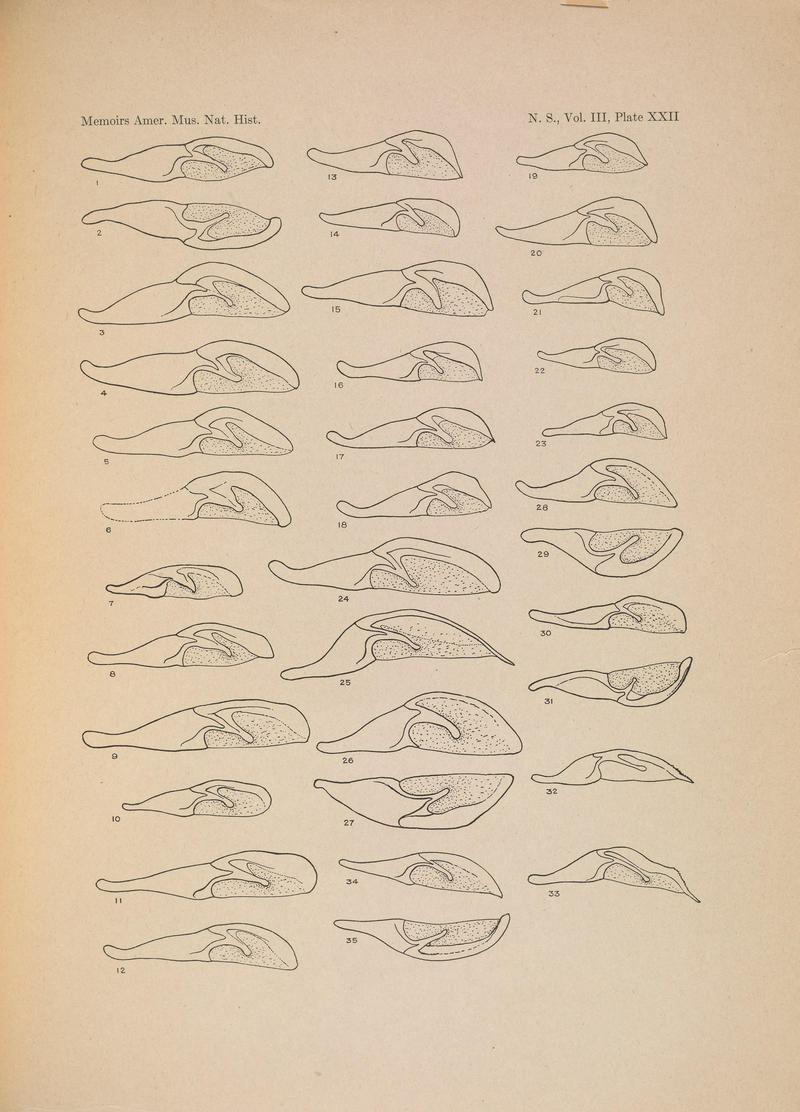 Illustrations of the North American species of the genus Catocala (N. S., Vol. III, Plate XXII) BHL38534440