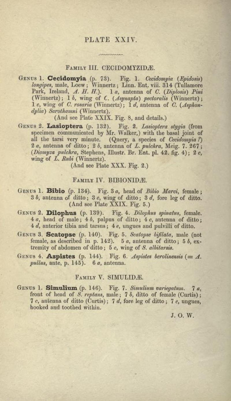 Insecta Britannica Diptera Plate XXIV text