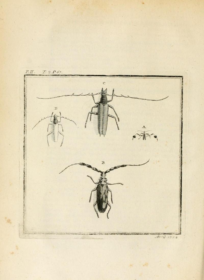 Introduction aux Observations sur la Physique, sur l'Histoire Naturelle et sur les Arts BHL6010748