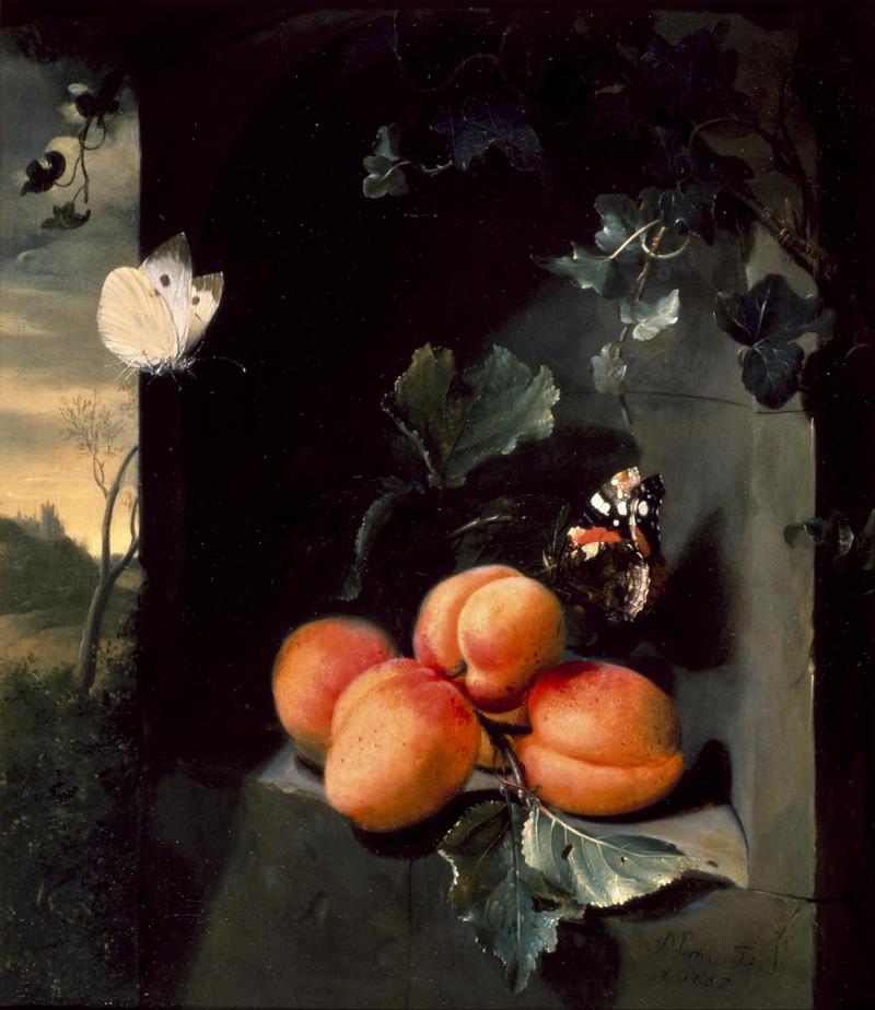 Still Life with Apricotes and Butterflies title QS:P1476,en:"Still Life with Apricotes and Butterflies" label QS:Len,"Still Life with Apricotes and Butterflies"