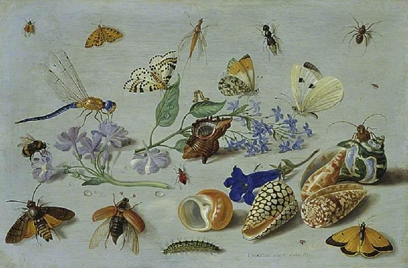 Butterflies and Other Insects title QS:P1476,en:"Butterflies and Other Insects " label QS:Len,"Butterflies and Other Insects "