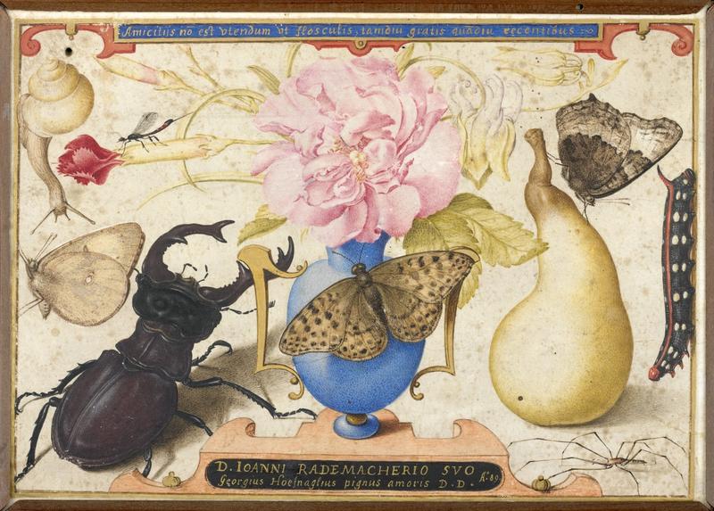 Allegory for Johannes Radermacher