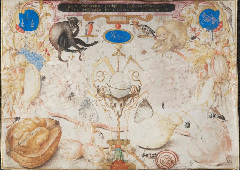 Allegory of autumn