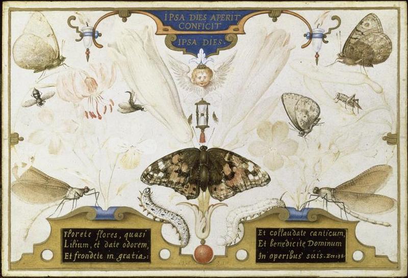 Allegory of the brevity of life