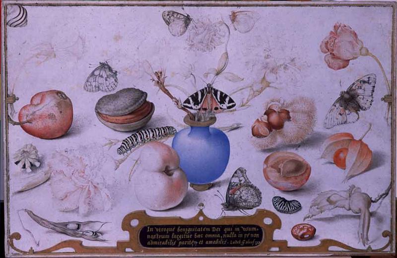 Vase with aquilegia, other flowers and butterflies, surrounded by flora and fauna