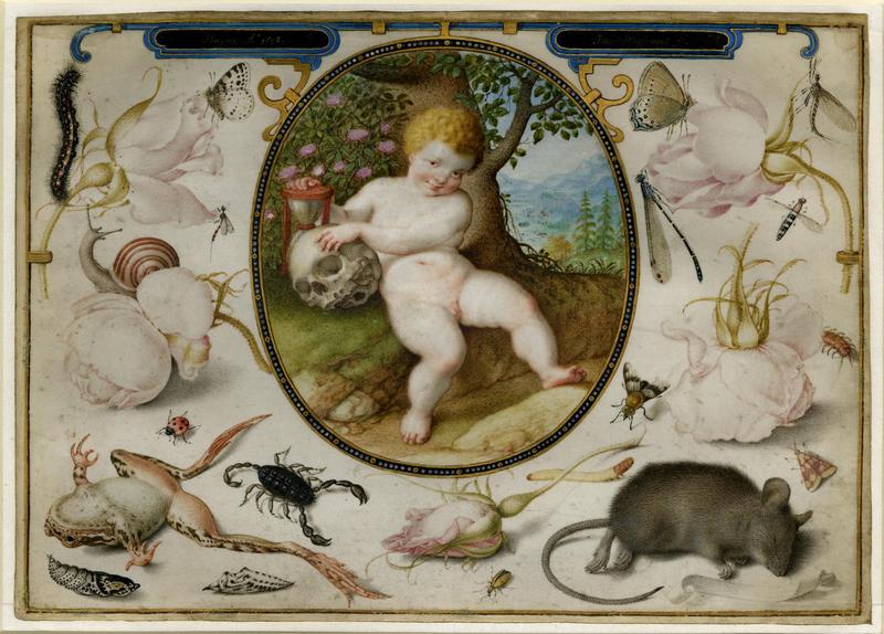 Allegory on Life and Death