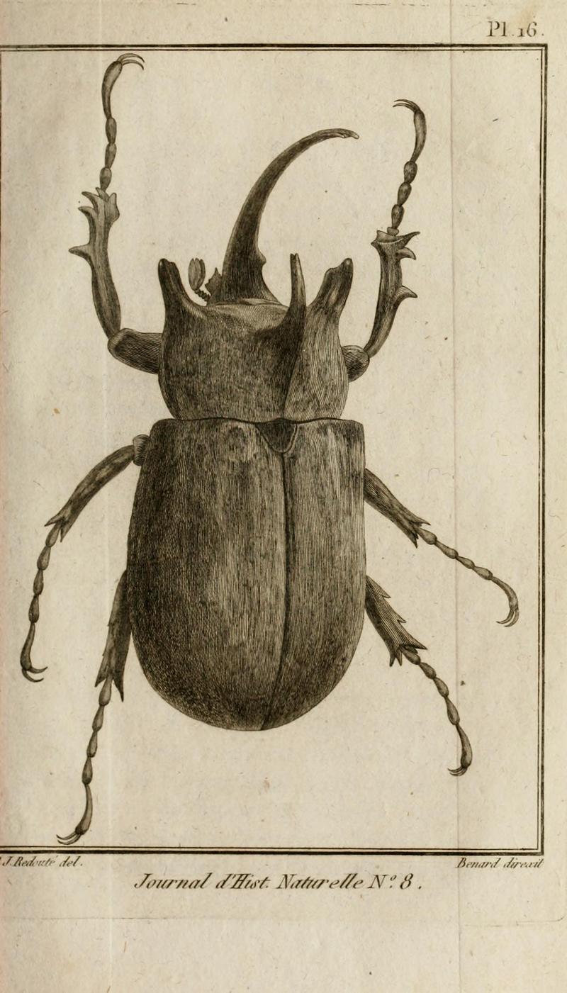 Journal d'histoire naturelle BHL6009840