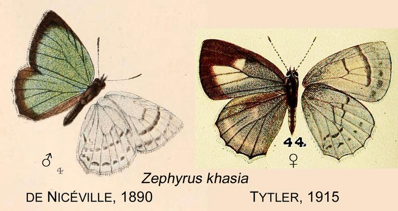 KhasiaDeNiceville1890Tytler1915