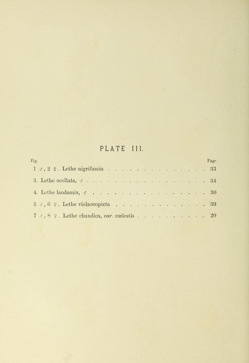 Leech China Plate III Text