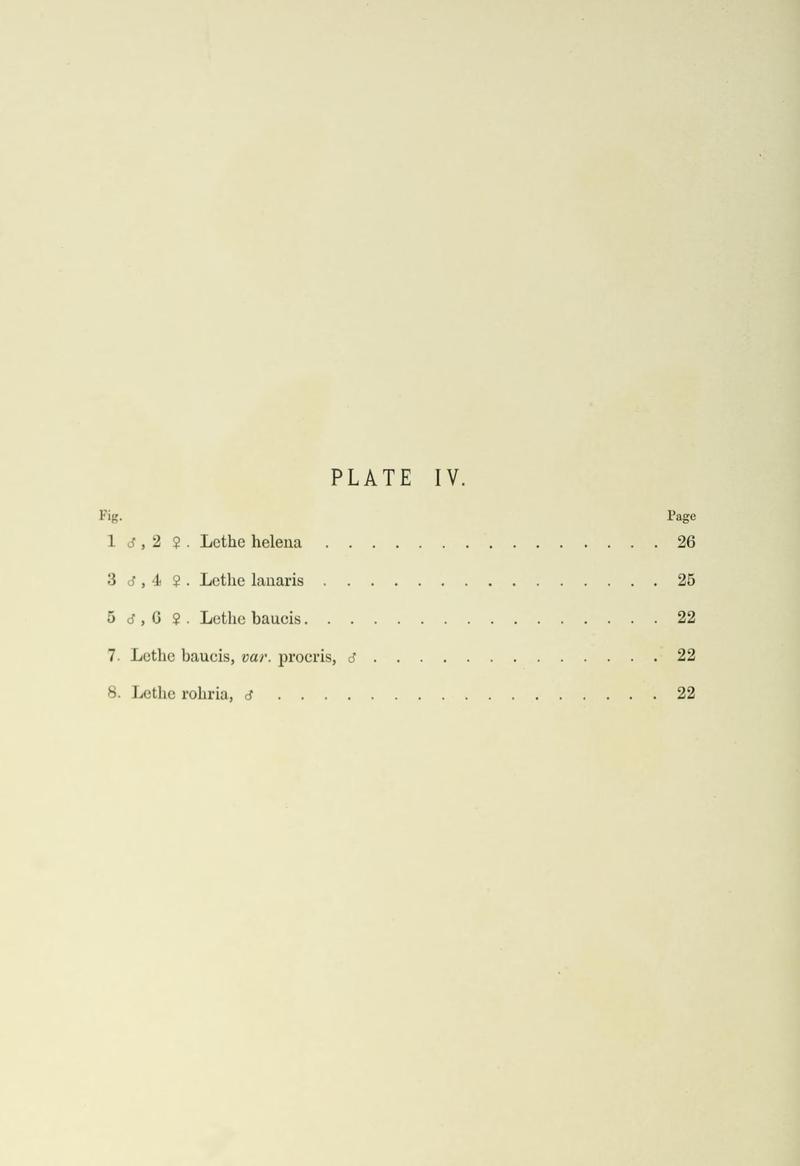 Leech China Plate IV Text