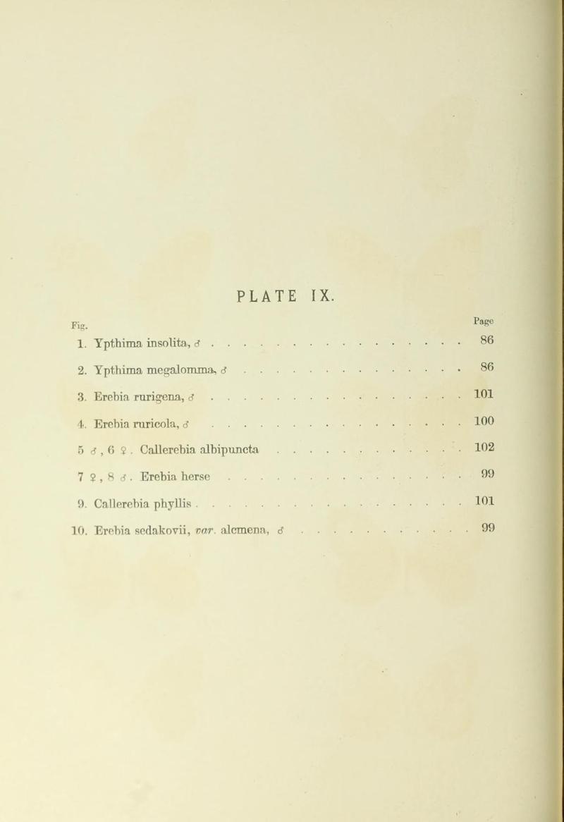 Leech China Plate IX Text