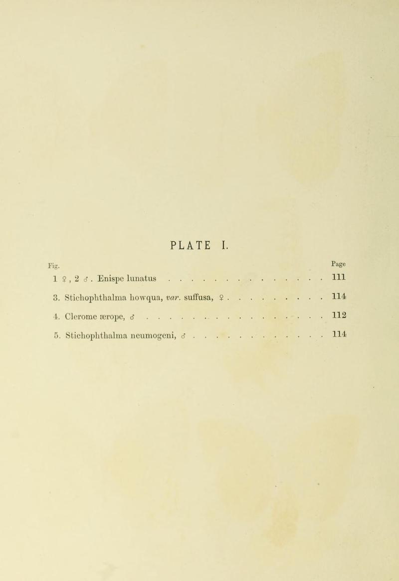 Leech China Plate I Text