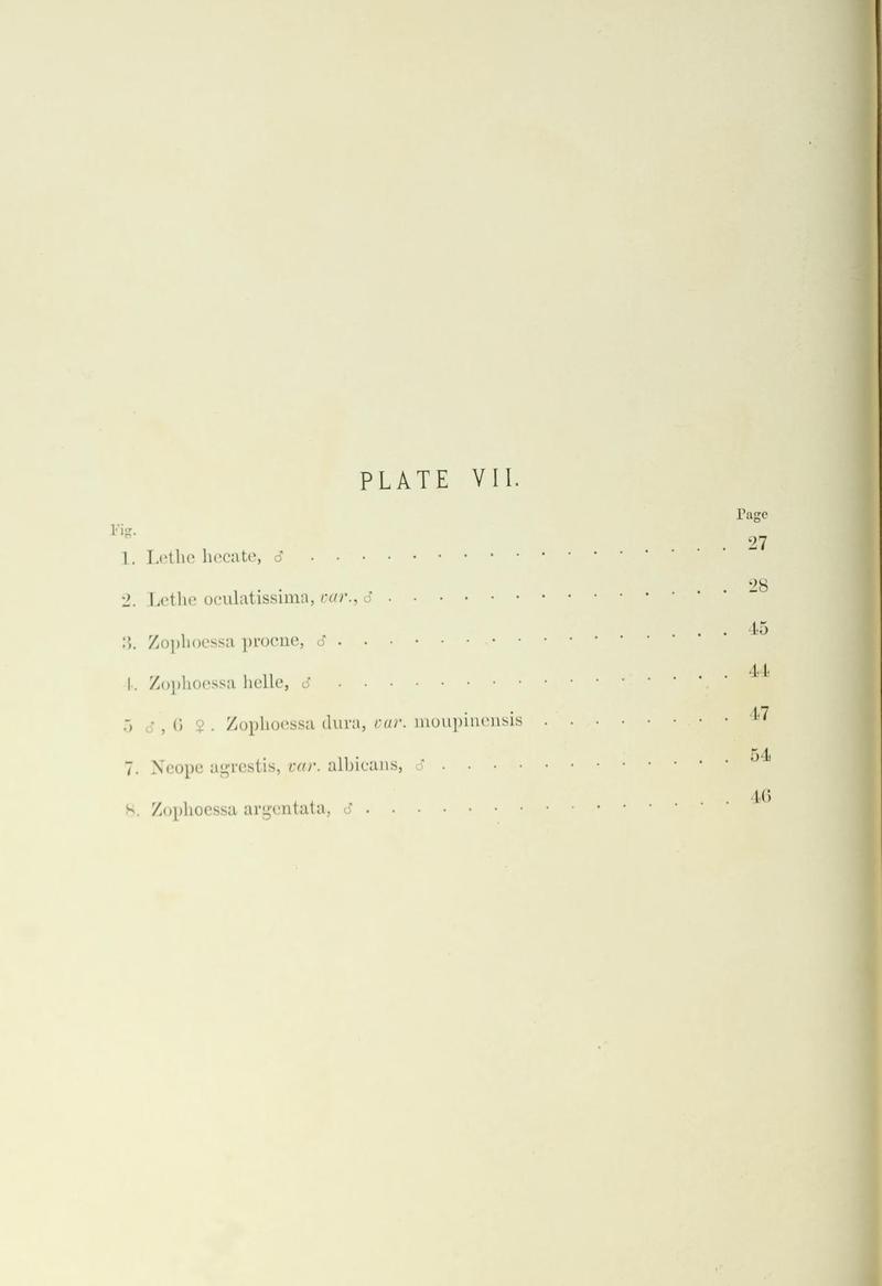 Leech China Plate VII Text