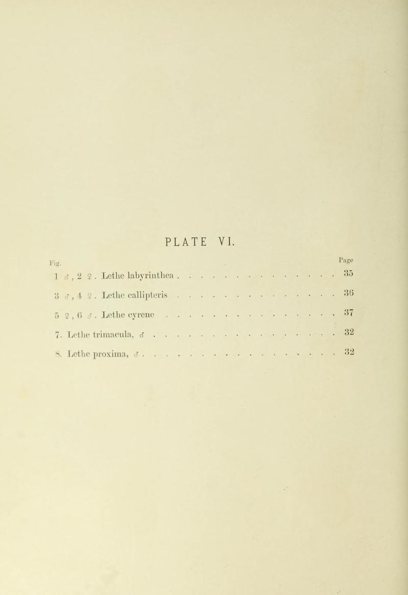 Leech China Plate VI Text