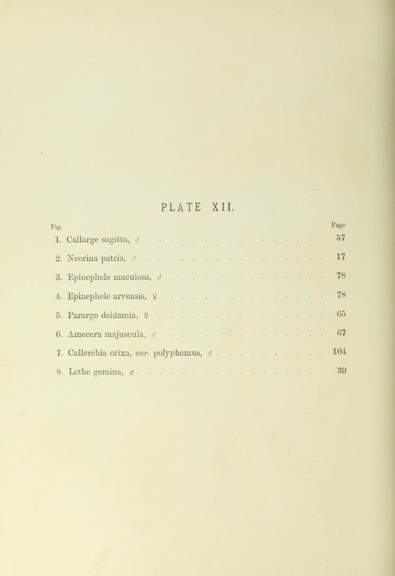 Leech China Plate XII Text